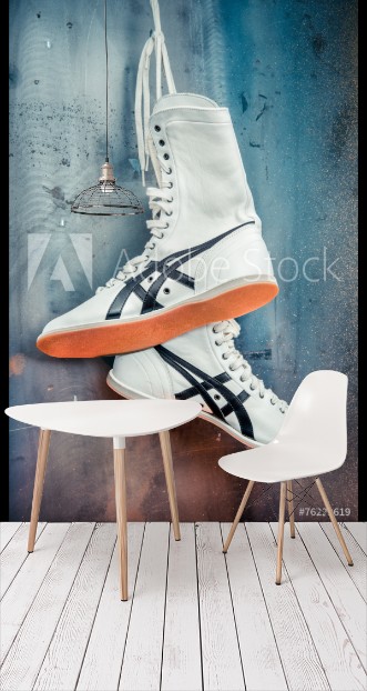 Bild på Boxing shoes classical white